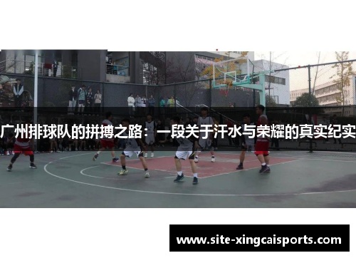 广州排球队的拼搏之路：一段关于汗水与荣耀的真实纪实