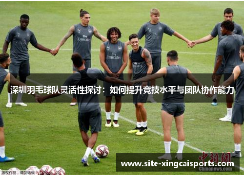 深圳羽毛球队灵活性探讨：如何提升竞技水平与团队协作能力