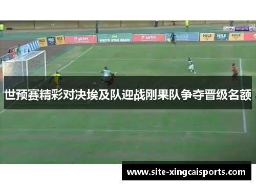 世预赛精彩对决埃及队迎战刚果队争夺晋级名额