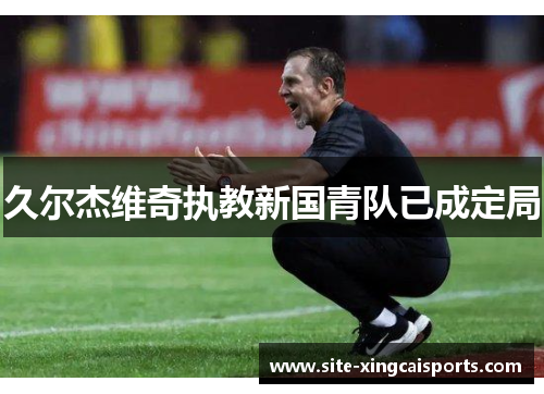 久尔杰维奇执教新国青队已成定局