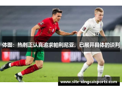 体图：热刺正认真追求帕利尼亚，已展开具体的谈判